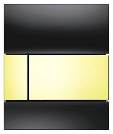 TECE Square Urinal 9242808 для писсуаров, стекло черное, клавиша золото фото 1